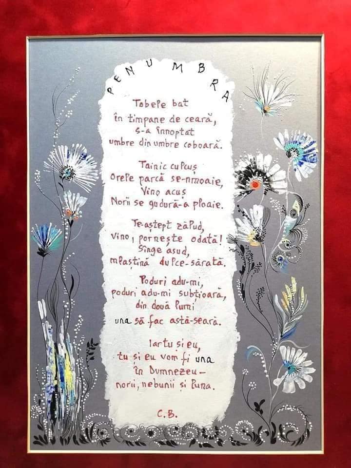 TAINA & PENUMBRA - imagine 2